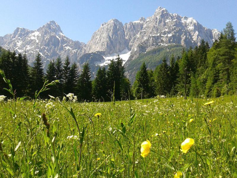 House Neza Apartment Kranjska Gora Luaran gambar